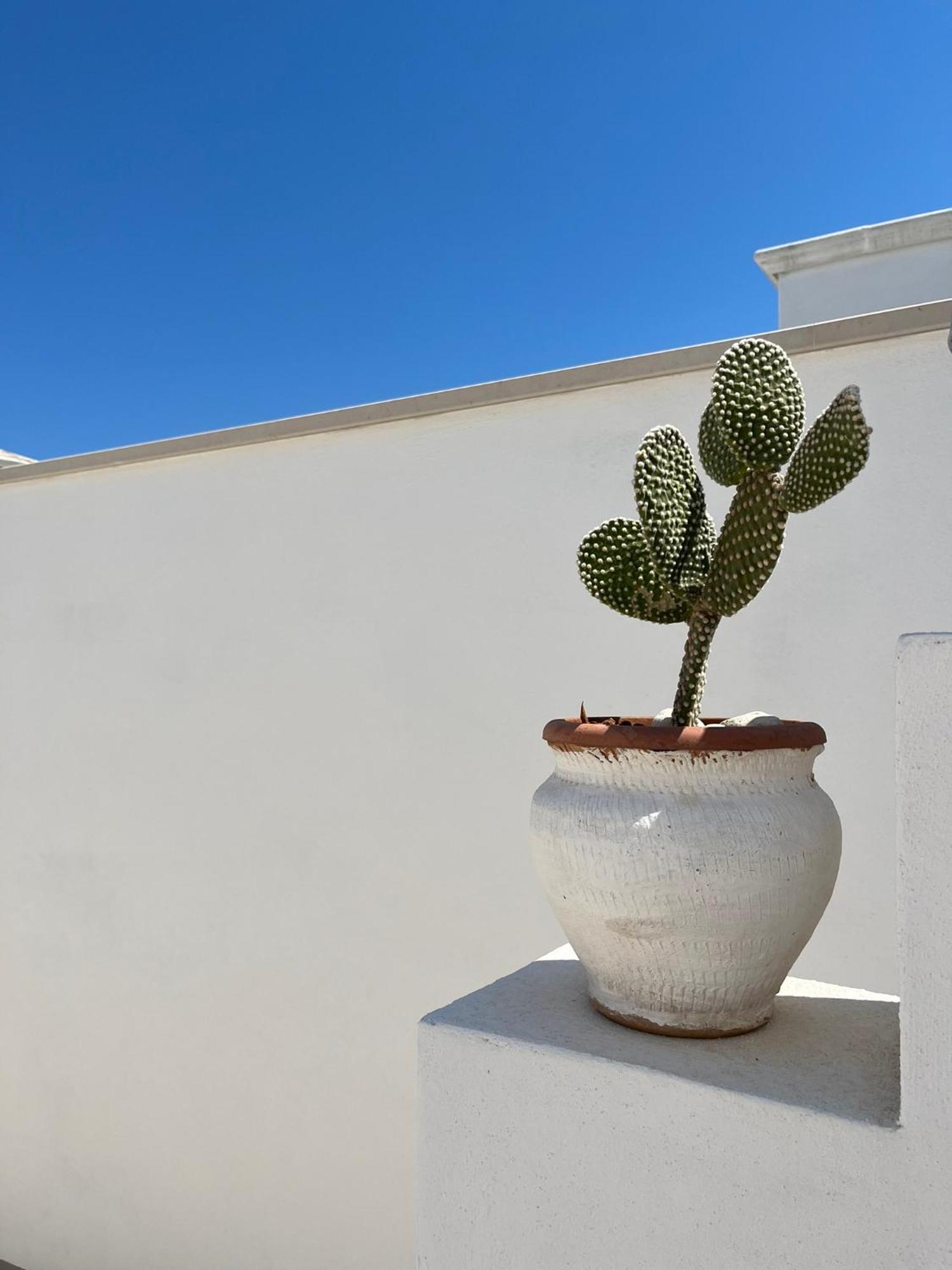 Apartament El-Mar Locazione Turistica House With Exclusive Terrace Polignano a Mare Zewnętrze zdjęcie
