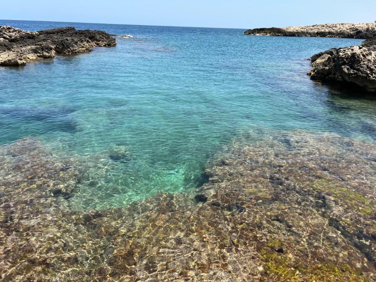Apartament El-Mar Locazione Turistica House With Exclusive Terrace Polignano a Mare Zewnętrze zdjęcie